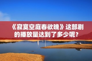 《寂寞空庭春欲晚》这部剧的播放量达到了多少呢？