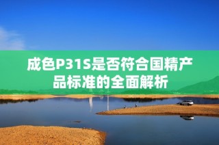 成色P31S是否符合国精产品标准的全面解析