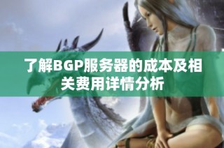 了解BGP服务器的成本及相关费用详情分析