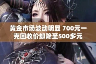 黄金市场波动明显 700元一克回收价却降至500多元