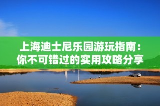 上海迪士尼乐园游玩指南：你不可错过的实用攻略分享