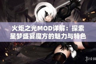 火炬之光MOD详解：探索星梦盛宴魔方的魅力与特色