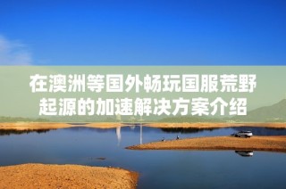 在澳洲等国外畅玩国服荒野起源的加速解决方案介绍