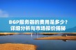 BGP服务器的费用是多少？详细分析与市场报价揭秘