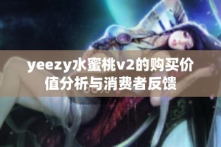 yeezy水蜜桃v2的购买价值分析与消费者反馈