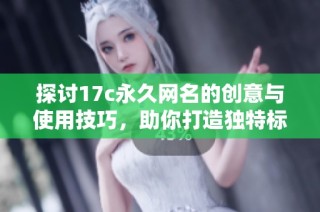 探讨17c永久网名的创意与使用技巧，助你打造独特标识