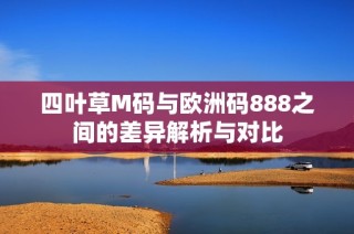 四叶草M码与欧洲码888之间的差异解析与对比