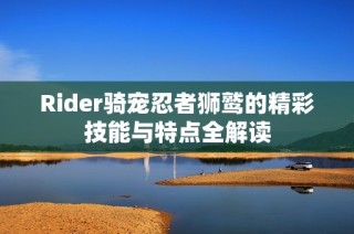 Rider骑宠忍者狮鹫的精彩技能与特点全解读