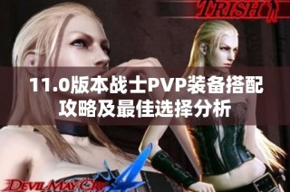 11.0版本战士PVP装备搭配攻略及最佳选择分析