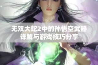 无双大蛇2中的孙悟空武器详解与游戏技巧分享