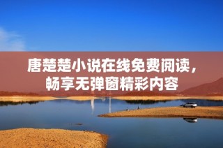 唐楚楚小说在线免费阅读，畅享无弹窗精彩内容