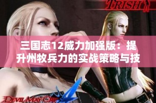 三国志12威力加强版：提升州牧兵力的实战策略与技巧分享