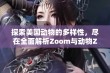 探索美国动物的多样性，尽在全面解析Zoom与动物Zoom合集