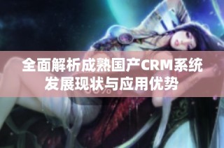 全面解析成熟国产CRM系统发展现状与应用优势