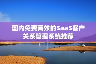 国内免费高效的SaaS客户关系管理系统推荐