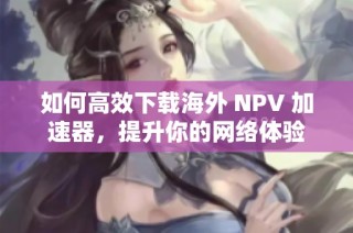 如何高效下载海外 NPV 加速器，提升你的网络体验