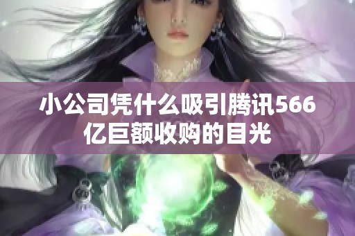 小公司凭什么吸引腾讯566亿巨额收购的目光