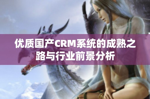 优质国产CRM系统的成熟之路与行业前景分析