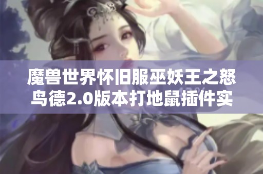 魔兽世界怀旧服巫妖王之怒鸟德2.0版本打地鼠插件实战体验分享