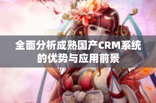 全面分析成熟国产CRM系统的优势与应用前景