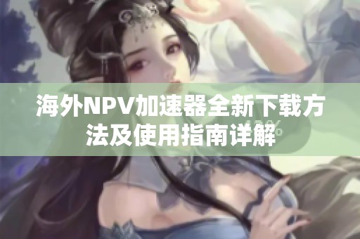 海外NPV加速器全新下载方法及使用指南详解